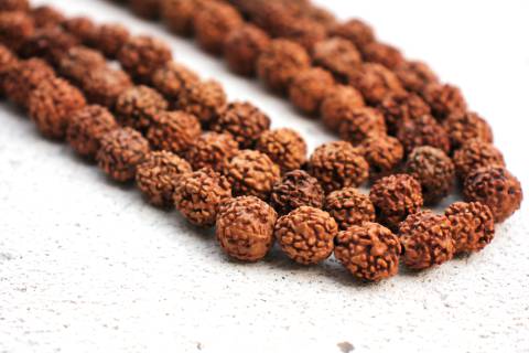 Natural Wood Nut Beads
