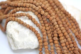 natural-rudraksha-bead