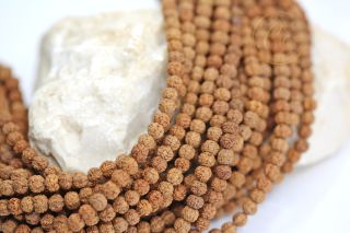 natural-organic-rudraksha-bead