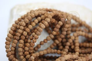 Rudraksha-seed-beads-bulk