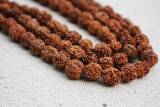 natural-organic-rudraksha-beads