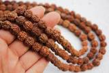 natural-rudraksha-beads