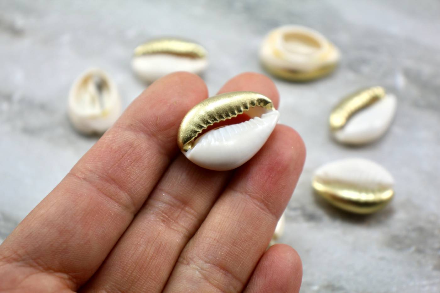 Cut-Cowrie-Charms-Seashells-Pendants