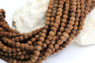 7mm-Rudraksha-beads