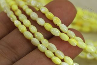 mini-shell-beads-jewelry-making