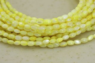 mop-mother-of-pearl-shell-beads